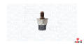 MAGNETI MARELLI 215810015500 ,   