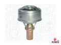 MAGNETI MARELLI 352317101080 ,  