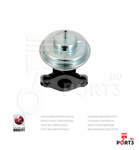 NIPPON+PIECES H564I02