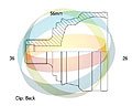 ODM-MULTIPARTS 12-011367  ,  