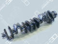 OE+GERMANY 020300083600