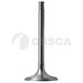 OSSCA 04966  