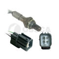 OSSCA 17555 -