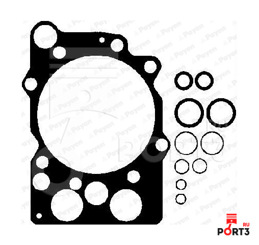 PAYEN BT850