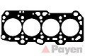 PAYEN AG5301 ,  
