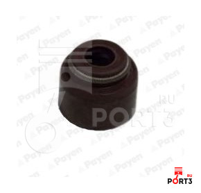 PAYEN PB355 Уплотнительное кольцо, стержень клапана