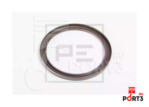 PE 03119700A