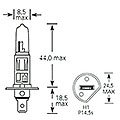 TESLAFT 142677   1 12V 55W