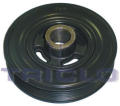 TRICLO 428495  ,  