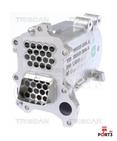 TRISCAN 881316112