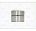 TRISCAN 8029008