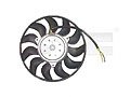 TYC 802-1006 ,  