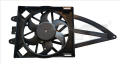  TYC 809-0020