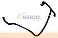 Vemo/Vaico V102677 ,  