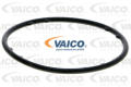 Vemo/Vaico V1050099  